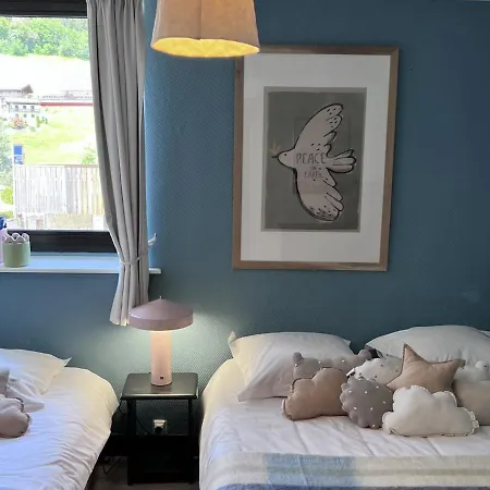 Apartment Cosy Au Coeur Des Gets, Proche Des Telecabines, 2 Chambres, Wi-fi, Parking Privatif - Fr-1-671-124